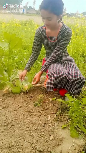 BIMU🌸 (@bimu0516)’s videos with original sound - BIMU🌸