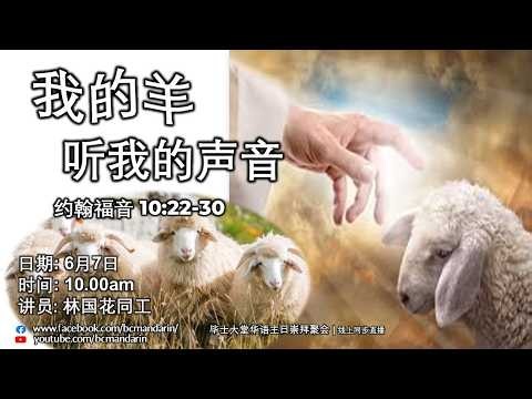 2026年6月7日 | 毕士大堂华语线上崇拜聚会 | 讲员：林国花同工