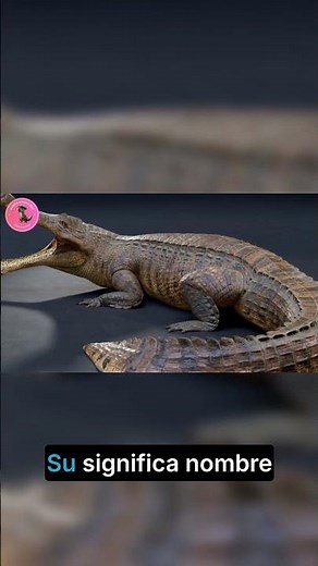 The Giant Crocodile That Ruled 112 Million Years Ago #dinosaurs #fypシ
