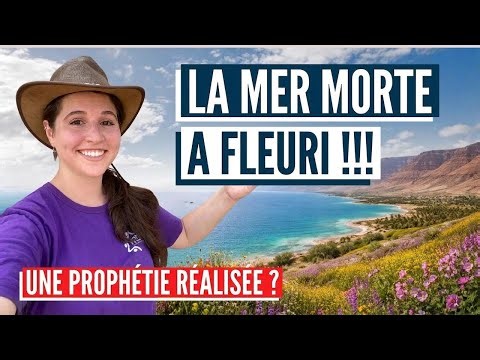Le désert fleurit en Israël ! Israël avec Aline
