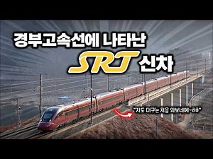 "부산 찍고! 대구 들렀다가 올라갑니데이~" 차세대 SRT 초도편성 첫 영남권 나들이