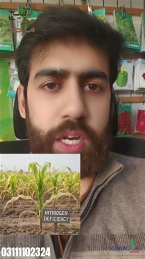 #trendingshorts #foryou #npk #nitrogen #phosphorous #potassium