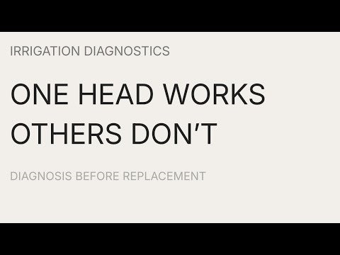 One Head Works, Others Don’t — How to Localize the Problem 1080p