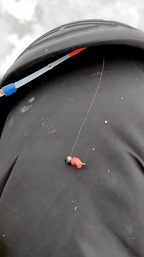 Fishing Lure Techniques: Handling Red and Black Worm Bait