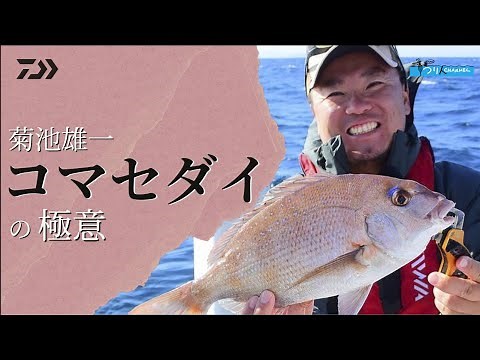 コマセマダイの極意 菊池雄一 | 船最前線