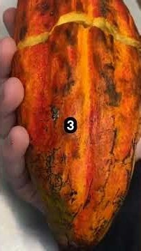 5 Fruits Their OWN ARMOR! 🥥😱 One Has 3 Protective Layers! #FruitArmor #WildBotany #NatureUncovered