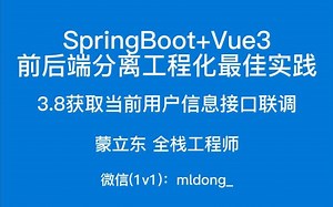 3.8SpringBoot Vue3最佳实践前端篇-获取当前用户信息接口联调
