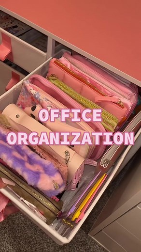 Functional and Cute Office Organization Storage System Review