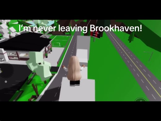 Exploring Brookhaven: The Magic of Berry Avenue