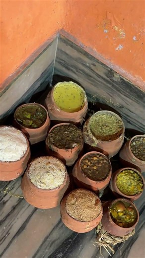 🛕 உலகப் புகழ் பெற்ற புரி ஜெகந்நாதர் கோயில் world famousTemple Food❗️⭕️⭕️❗️#shorts