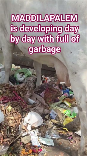 pavan kalyan sir pls take action on gvmc & my corperator my no 9000253627 srinivas