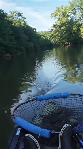 WATCH THIS Musky CRUSH a Topwater!!!
