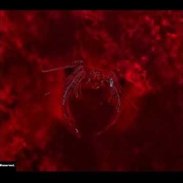 Lunar Cry Cutscene - FFVIII