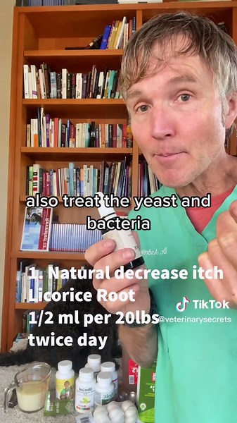 3 steps to Naturally stop your chronically itching dog! #dogallergies #dogitching #dogskin #homeremedy