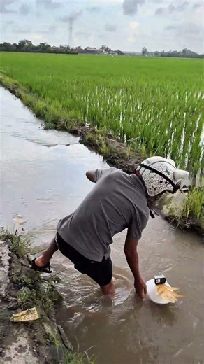 Mode serius dulu😂🙏