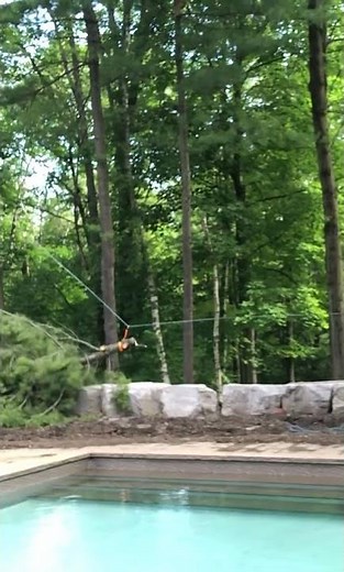 Zip lining big tops! #treeremoval #chainsawman