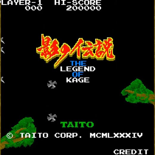 The Legend of Kage (Arcade) Playthrough #arcadegame #retrogames #retrogame #retrogaming #nes | Illusion Naga Gaming