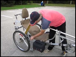 Modular Recumbent Tricycle 2013