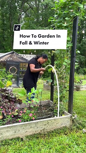 Gardening Tips for Fall and Winter Seasons