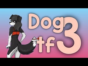 Dog tf 3
