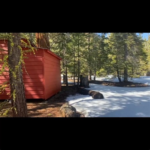 Toby Rose Lonesome on Instagram: "I Bought a Cabin in the Woods Off the Grid! #cabin #lifestyle #outdoors Full Video on YouTube: https://youtu.be/dVnHzWh93zA?si=jjmPVNuA4c-r9cd8"