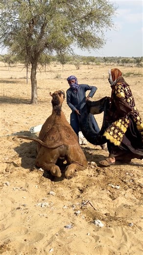 رحلةٌ شاقة، رابطةٌ قوية | كفاح زوجٍ وزوجة