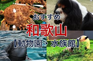 和歌山にあるおすすめの動物園・水族館12選