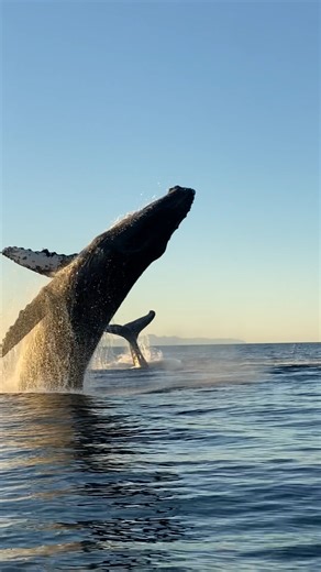 164K views · 10K reactions | Join us this winter and witness the...