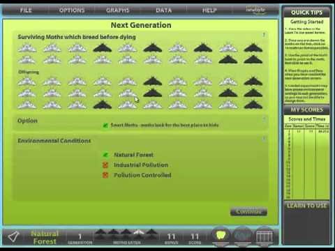 Natural Selection - Peppered Moths