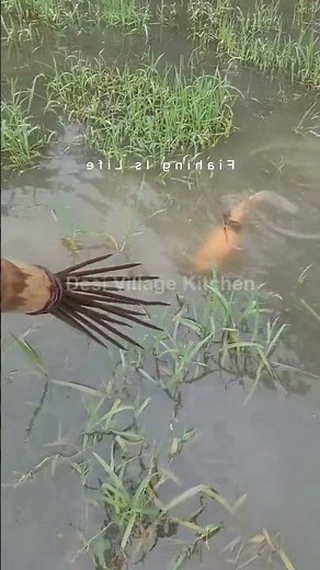 🎣 Village Ltd | Desi Village Fishing | River & Pond Catches | Traditional Fishing 🌿 #villageLtd