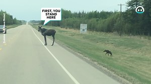 🫎🛣️ | ViralHog