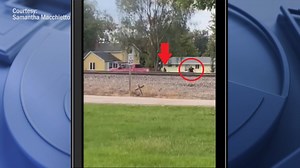 Grundy County sheriff's deputy shot during traffic stop; suspect in custody