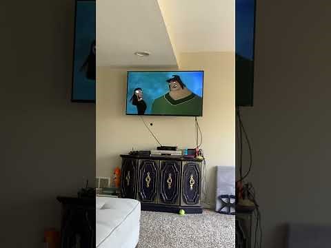 Opening To Toy Story 2 2000 VHS