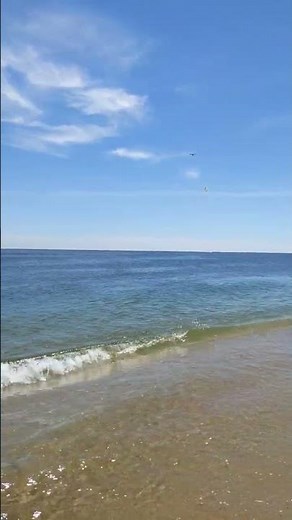 sandy hook beach@nj | Sandy Hook Beach NJ 🌊 | New Jersey Travel Shorts | USA Beaches