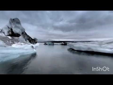 Wild Adventure in VR 360 🌍🔥 | Ultimate Virtual Reality Experience 🇺🇸