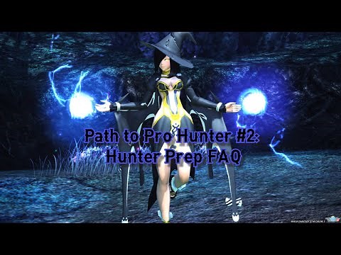 PSO2 NA - Path to Pro Hunter #2: Hunter Prep FAQ [Beginner]