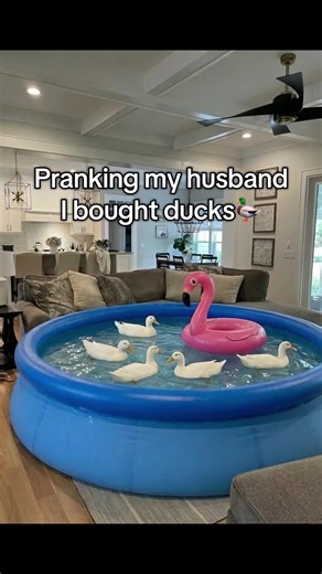 Buy 3 get 2 free😭😭 #ai #prank #husbandwife #duck #husbandwife | pranking my husband