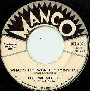The Wonders - What's The World Coming To?