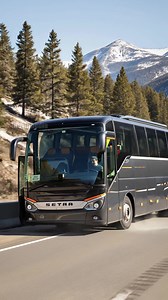 60K views · 686 reactions | A Majestic Horse Stops A Bus In Its Track For A Good Reason! #rescue #animals #wildlife | Team Stories | Facebook