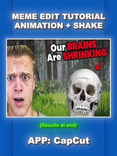 Exploring the Montage Tenta Meme Edit Trend