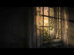 The Last Of Us Sunset | 4K Desktop Live Wallpaper 🌌