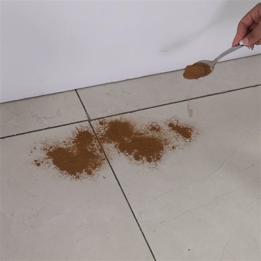 633K views · 25K reactions | Pon canela en polvo en la puerta de tu casa y te sorprenderás | Receitas Aprenda México | Facebook