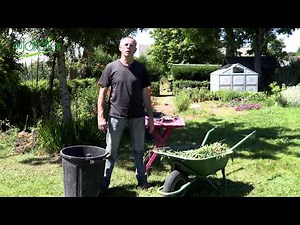 Comment FAIRE un PURIN de CONSOUDE ?