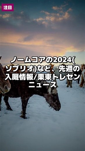 競馬情報｜ノームコアの2024(ソブリオ)など、先週の入厩情報/栗東トレセンニュース 5月19日 #Shorts