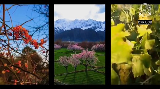 Portable Hybrid Solar Essential Oil Distillation Unit DPR, DPR University of Balochistan Quetta 8th November 2025 Prof. Dr. Ashif Sajjad, Director of the Quality Assurance and Accreditation Directorate (QAAD), University of Balochistan, provided valuable support in ensuring academic oversight and quality standards throughout the project. The project, titled Portable Hybrid Solar Essential Oil Distillation Unit, was successfully executed by the Institute of Biochemistry, University of Balochistan