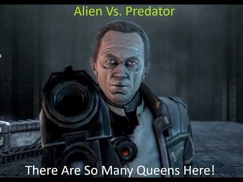 Alien Vs. Predator: She Has An Alien Baby In Her! And How Many Are There Of You?: The End