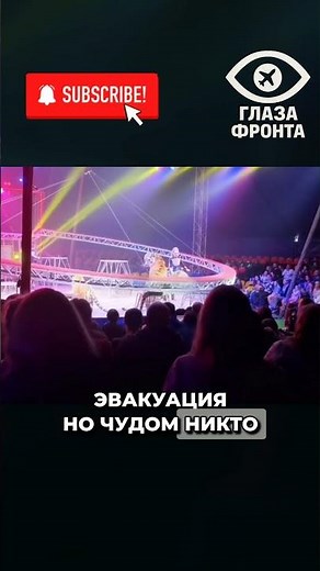 🛑 A TIGER DECIDED TO GET TO KNOW THE AUDIENCE BETTER! IN Rostov-on-Don, A STRIPED PREDATOR INTERR...