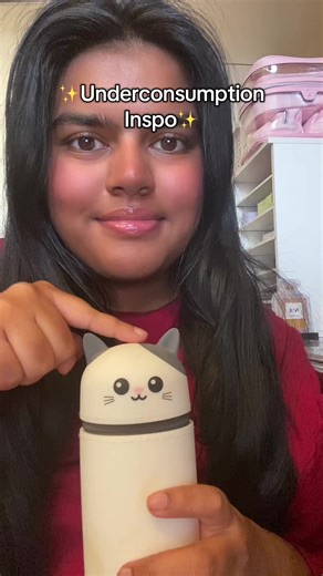 Replicating this for 800 dollars would be insane (Note: The original video was a paid promotion, but this video still promotes brand worship and consumerism). (overconsumption problems/underconsumption inspo) #overconsumption#underconsumption#fypシ゚viral#fypシ#inspo