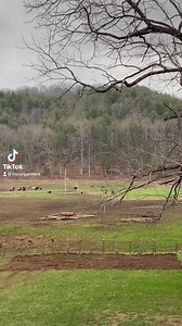 1.1K views | BIG Veggie Garden Design Reveal at the end 拾 This will...