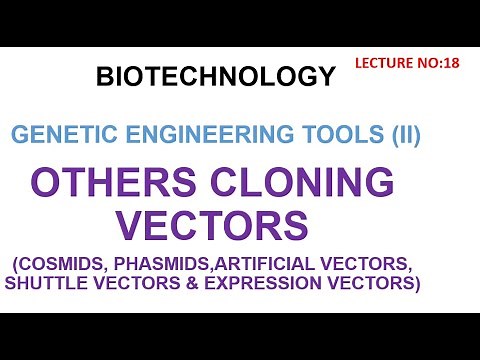 cosmids | phagemids | artificial chromosome vectors #biotechnology lectures